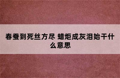 春蚕到死丝方尽 蜡炬成灰泪始干什么意思